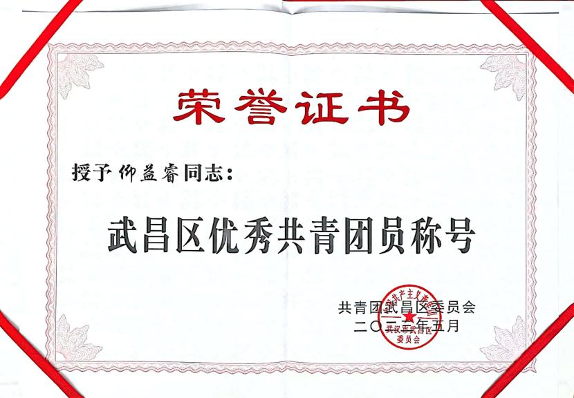 喜报！团武昌区委表彰bat365四个先进集体和个人！