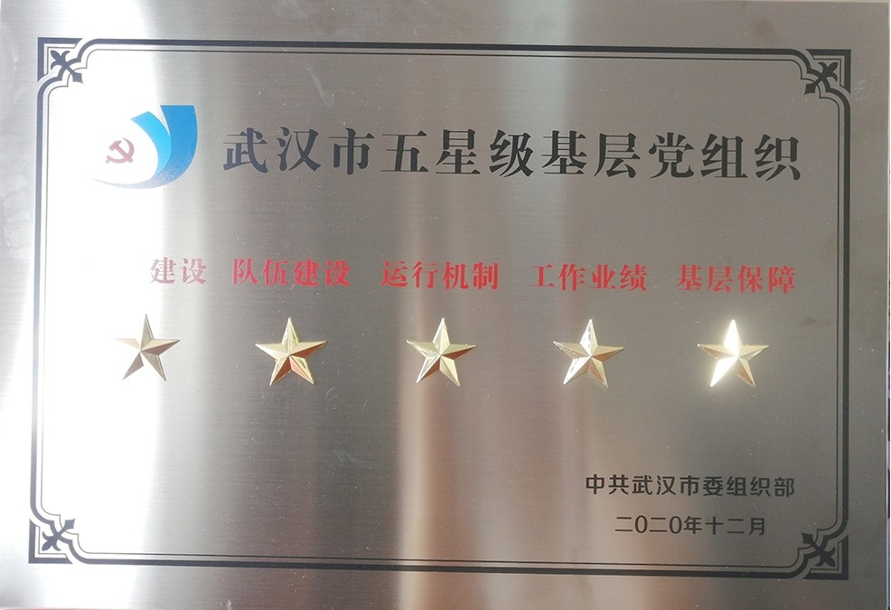 bat365党委荣获“武汉市五星级党组织”荣誉称号