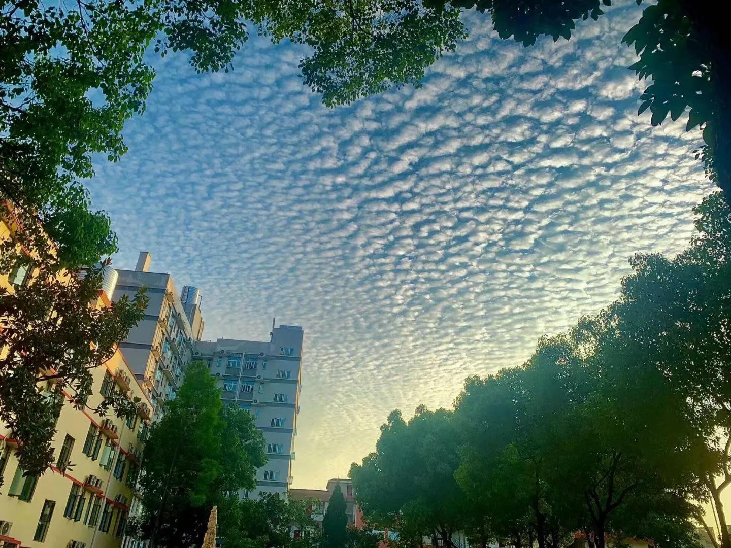 毕业进国企，福利好，待遇高；bat365在线中国官网登录入口学生很“清高