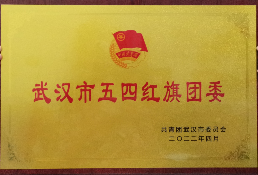 喜报！bat365团委工作荣获武汉市和武昌区五四表彰多项荣誉